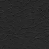Leder Black