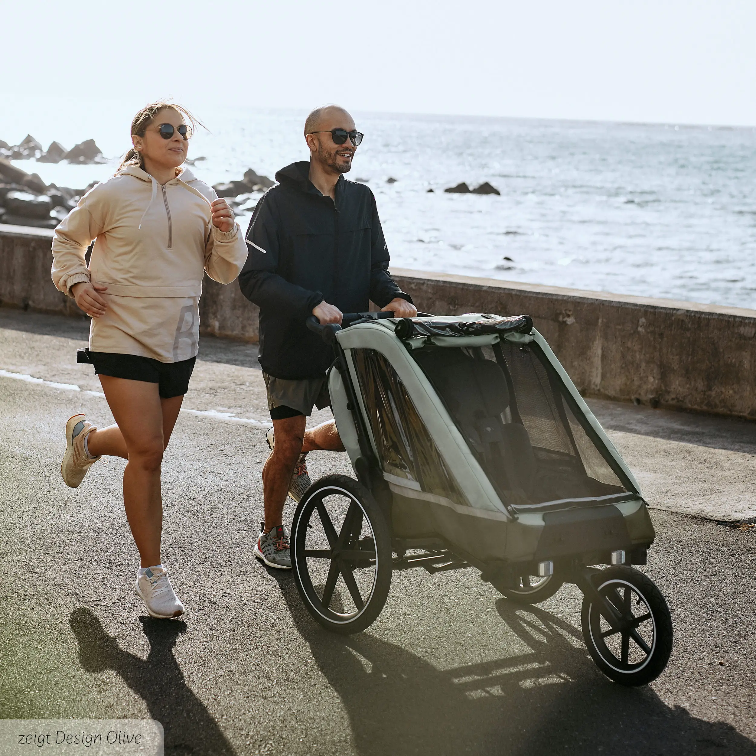 Remorque à vélo Tour 2 avec 2 sièges confortables et roues gonflables - Falcon