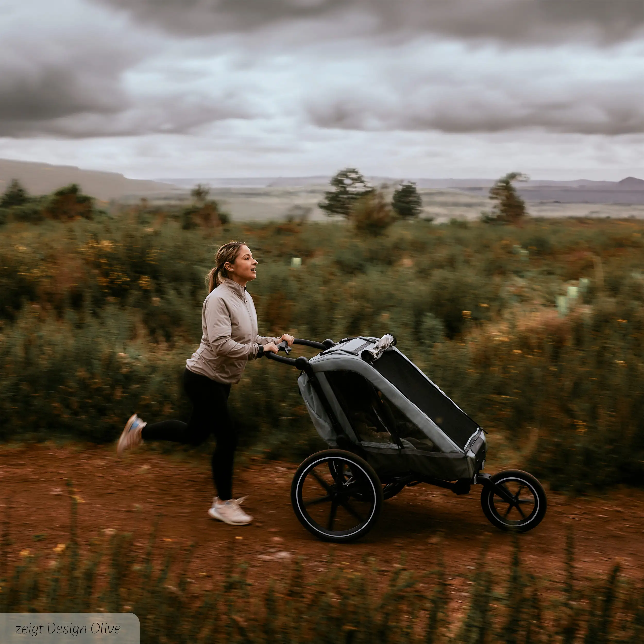 Fahrradanhänger Tour Sport Kit