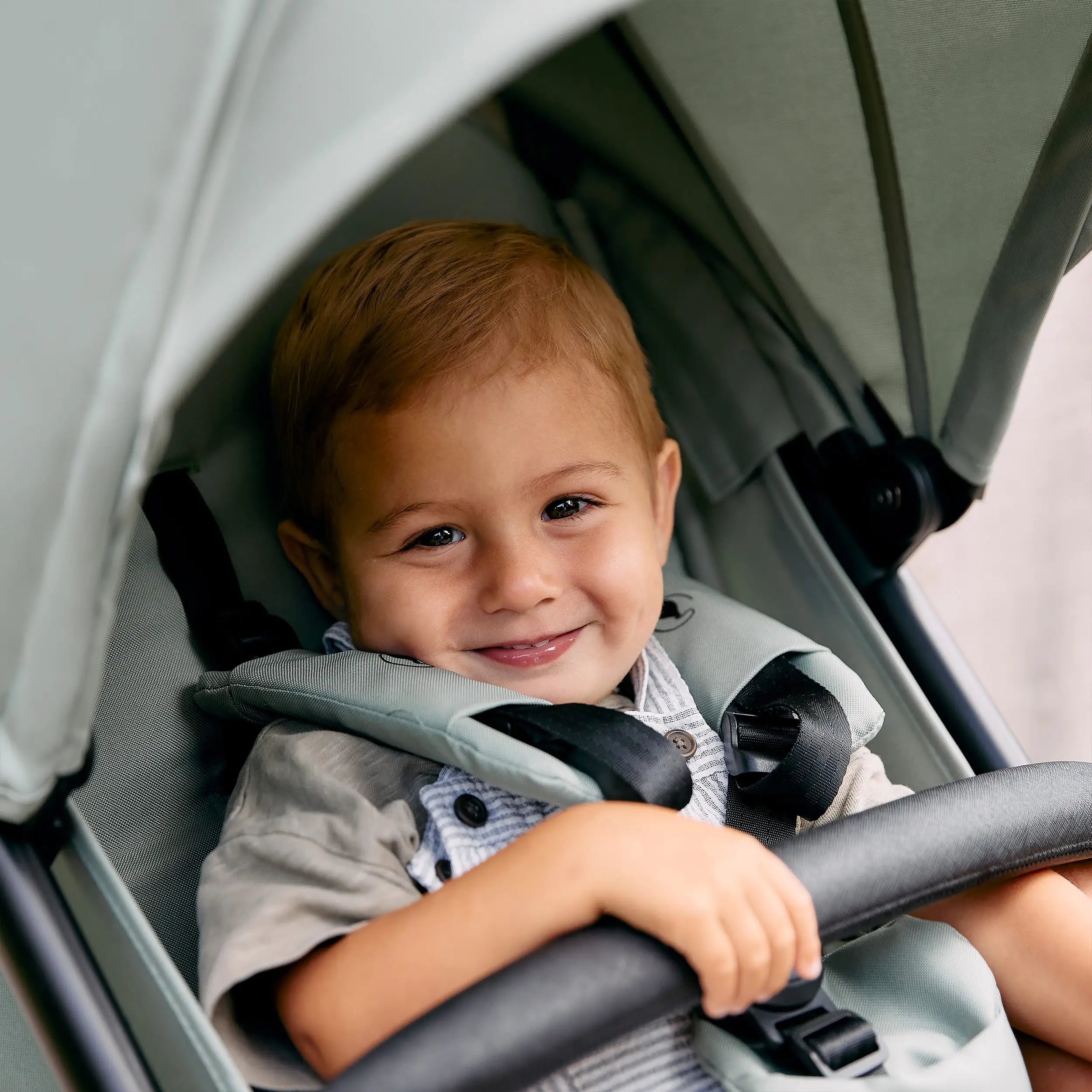 Buggy Avus 2 - Pine