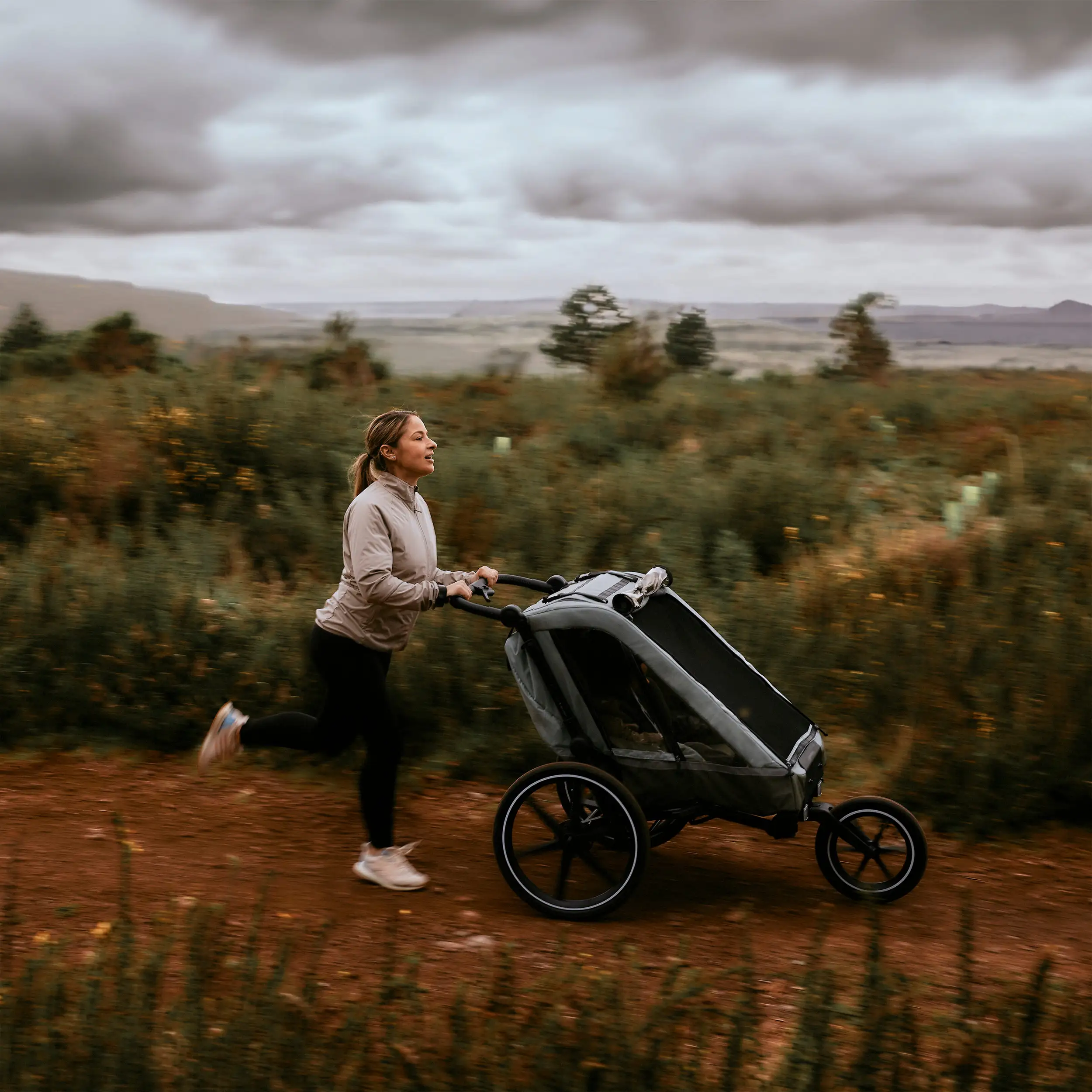 Fahrradanhänger Tour 2 mit 2 Komfortsitzen & Lufträdern - Olive