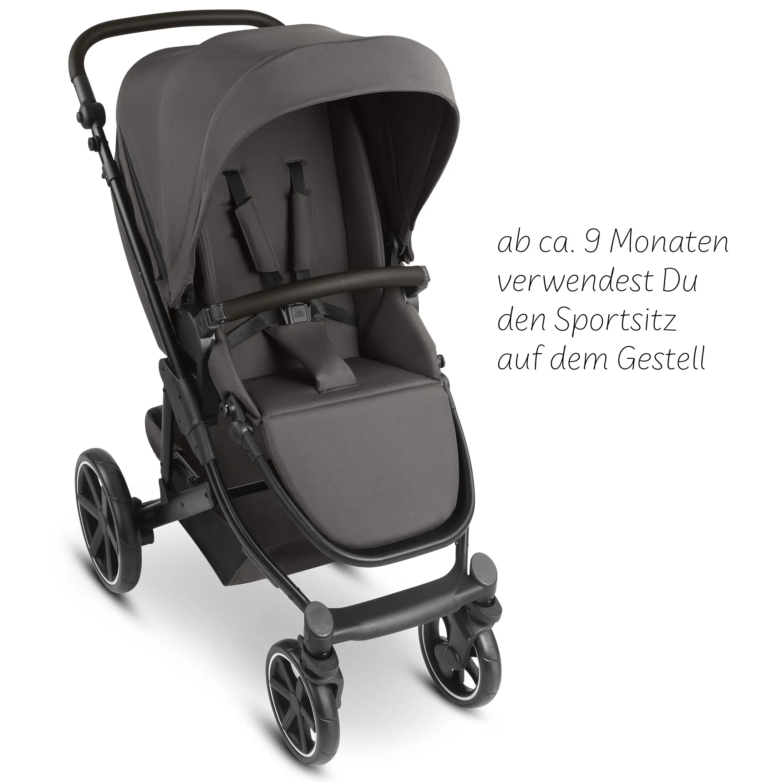 3in1-Kinderwagen-Set Sierra - Nut