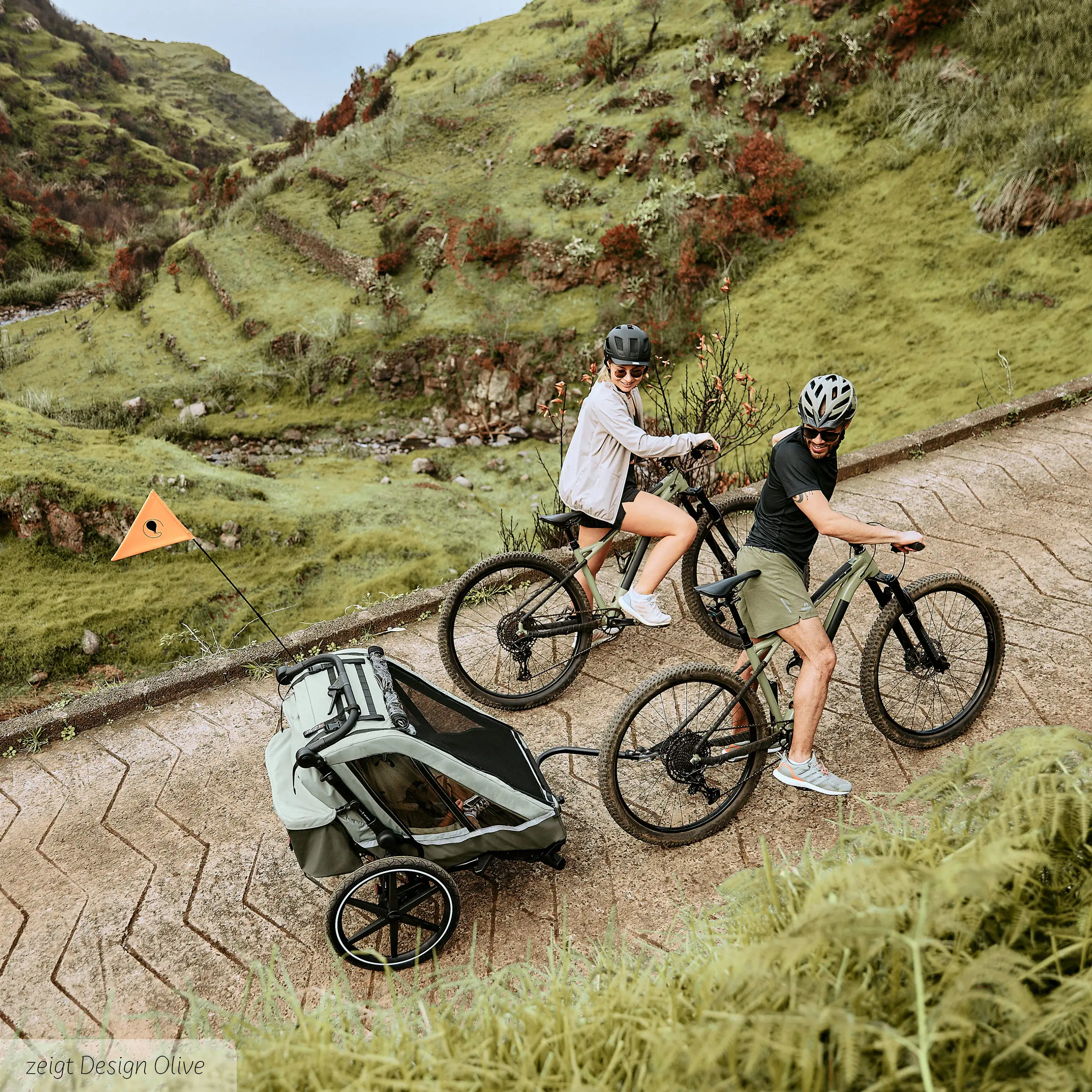 Remorque à vélo Tour 2 avec 2 sièges confortables et roues gonflables - Falcon