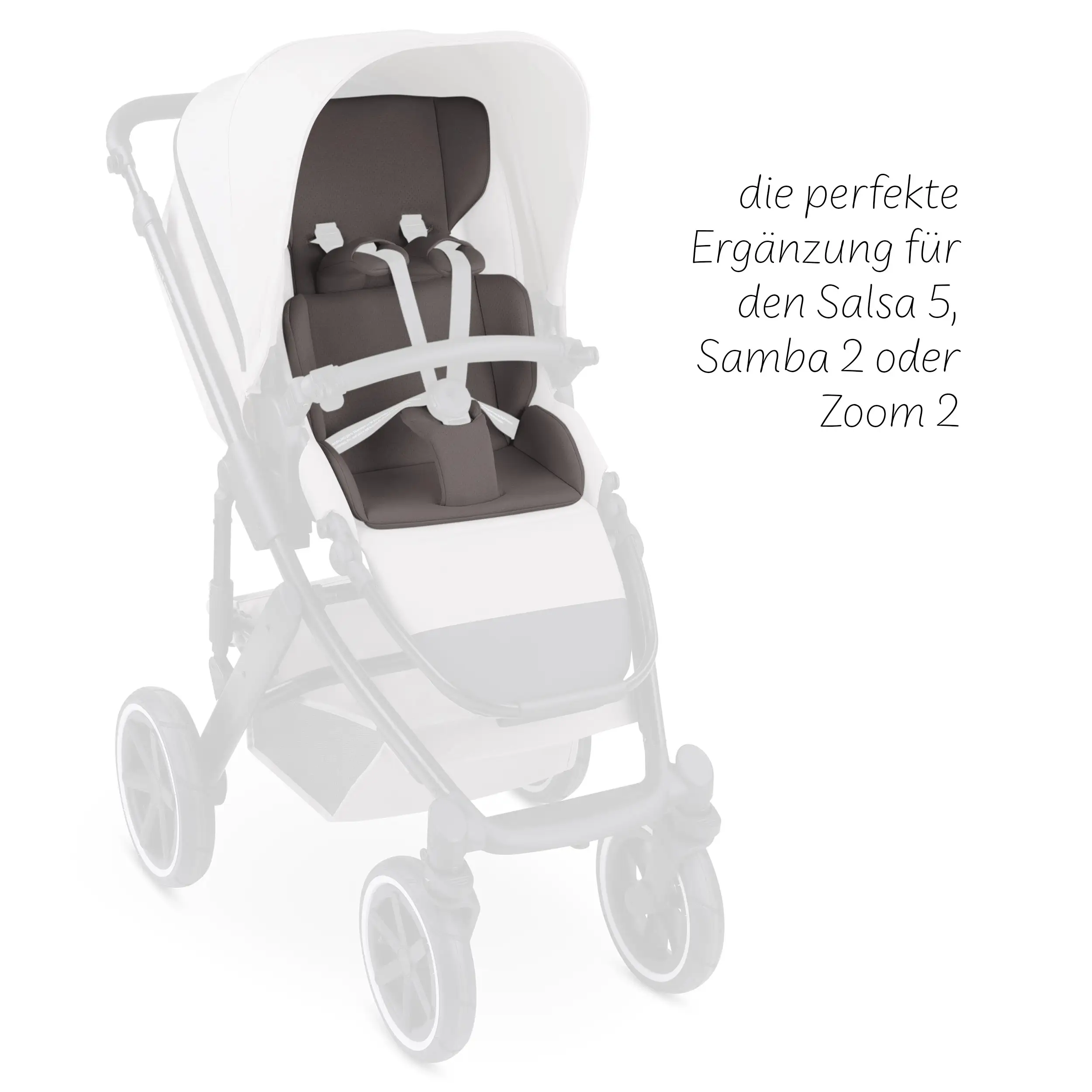Komfort-Sitzauflage für Samba, Salsa, Zoom - Cozy Falcon