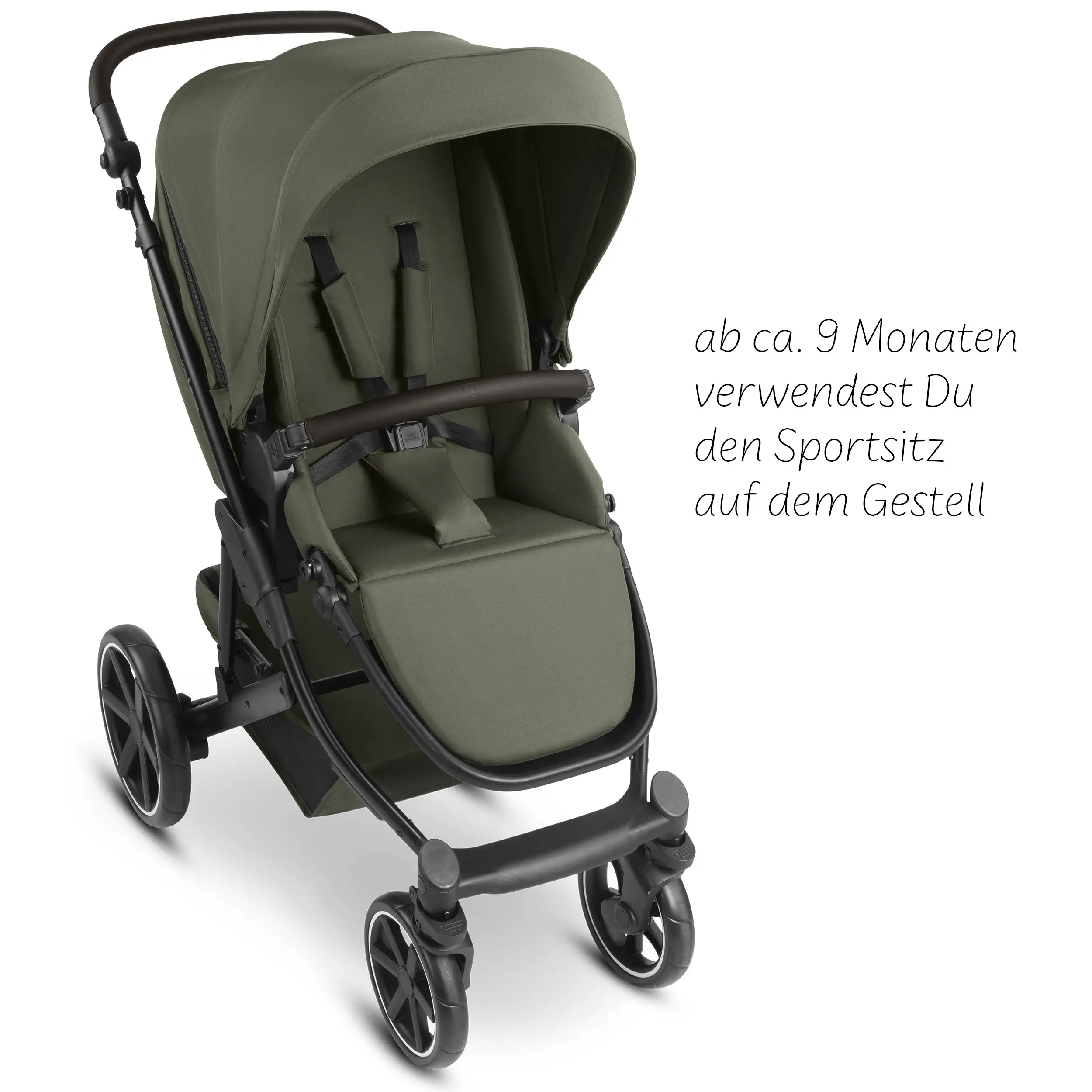 4in1-Kinderwagen-Set Sierra inkl. Isofix Base - Pea